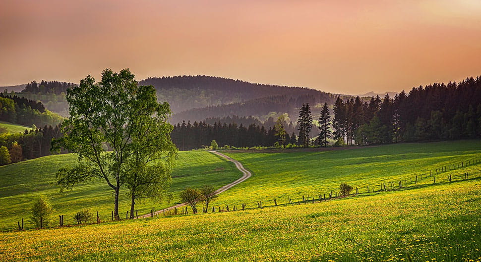 Landschaft im Sauerland