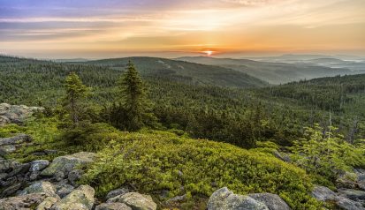 Bayerischer Wald